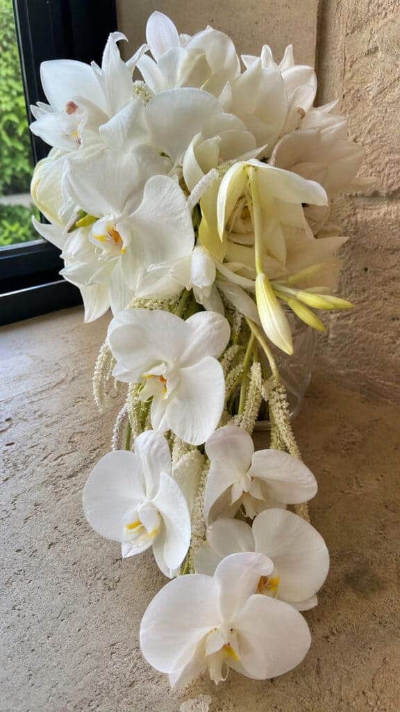 Orchid Elegance Extravaganza
