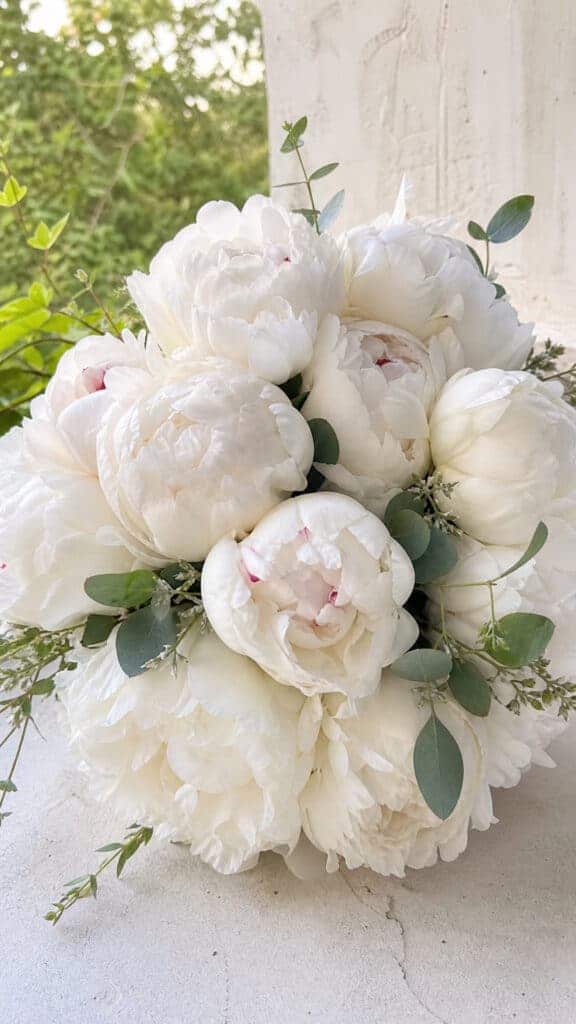 Peony Paradise Perfection
