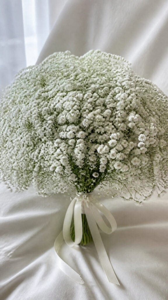 Baby's Breath Clouds