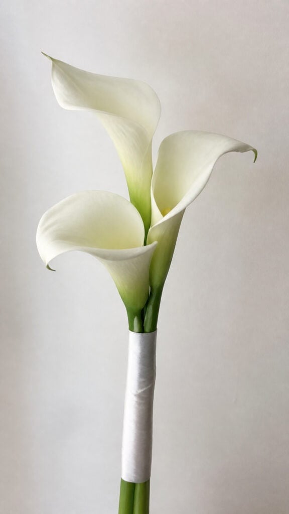 Minimalist Single-Stem Elegance
