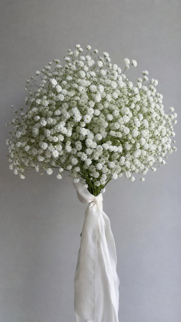 Baby's Breath Beauties