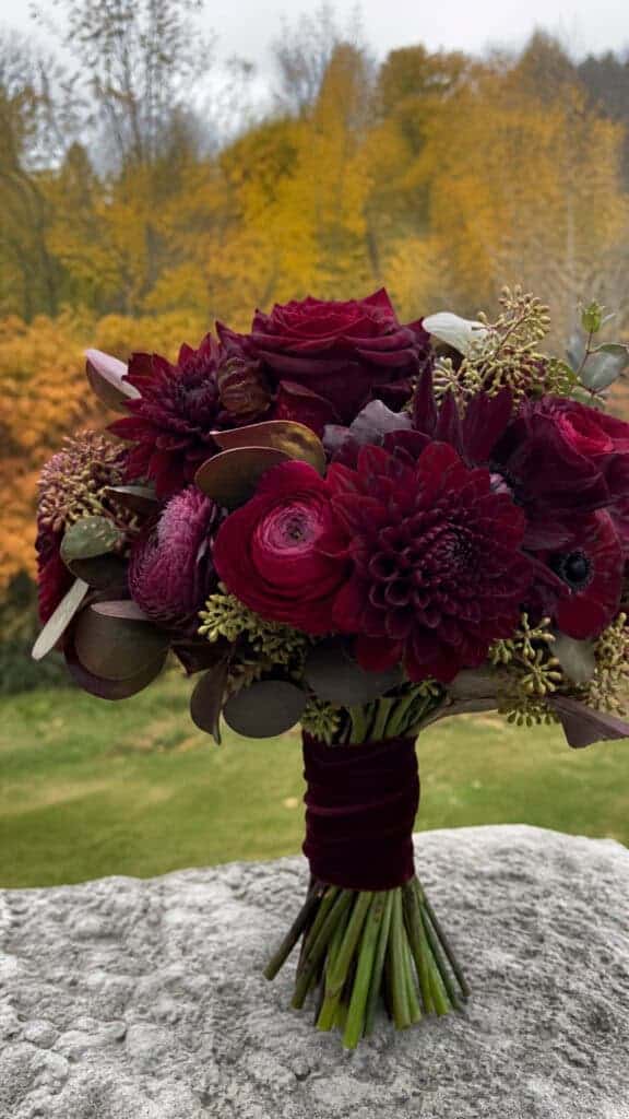 Rich Burgundy and Wine-Colored Blooms