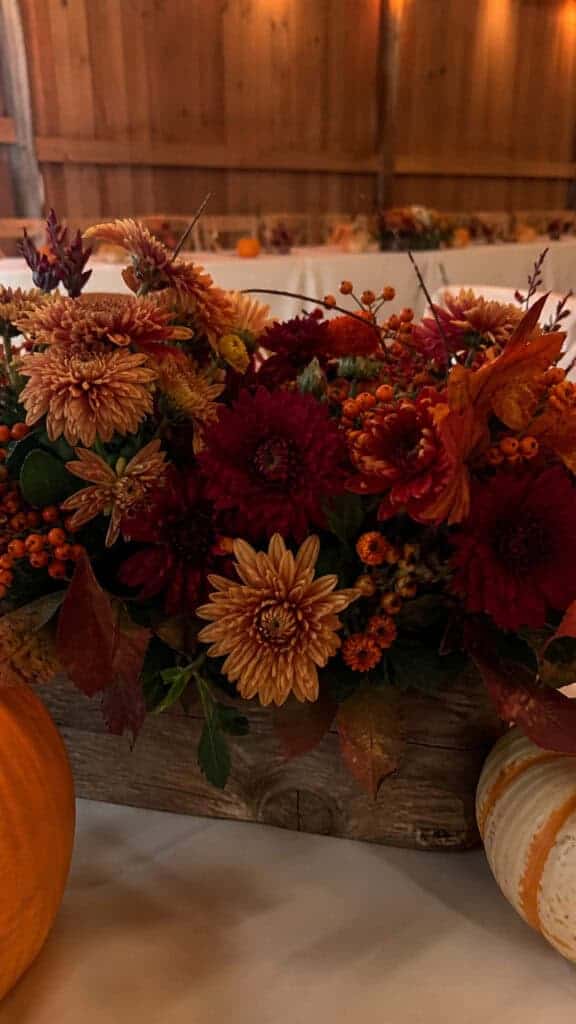 Cozy Chrysanthemum and Berry Clusters