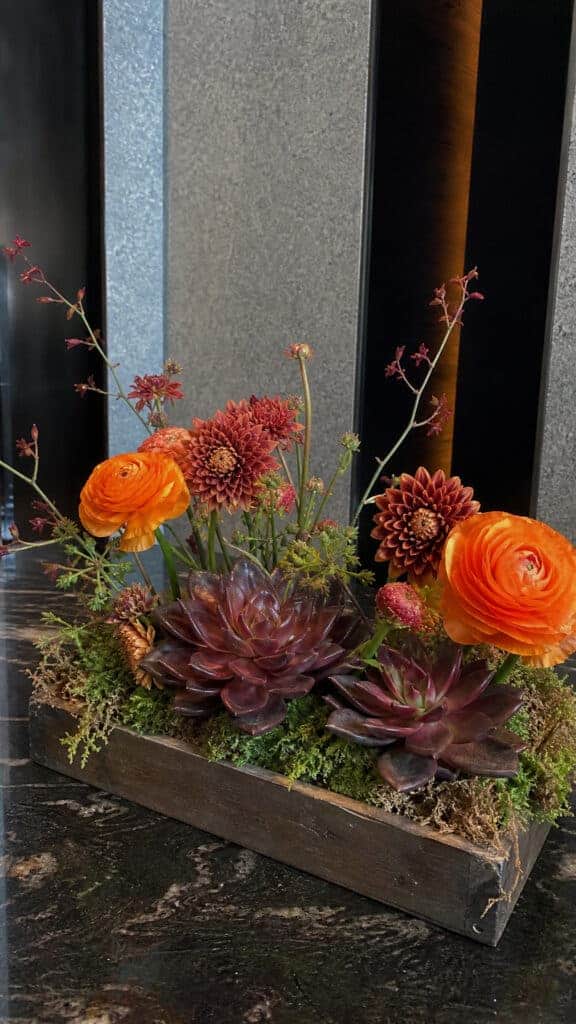 Textured Succulent and Fall Bloom Combinations