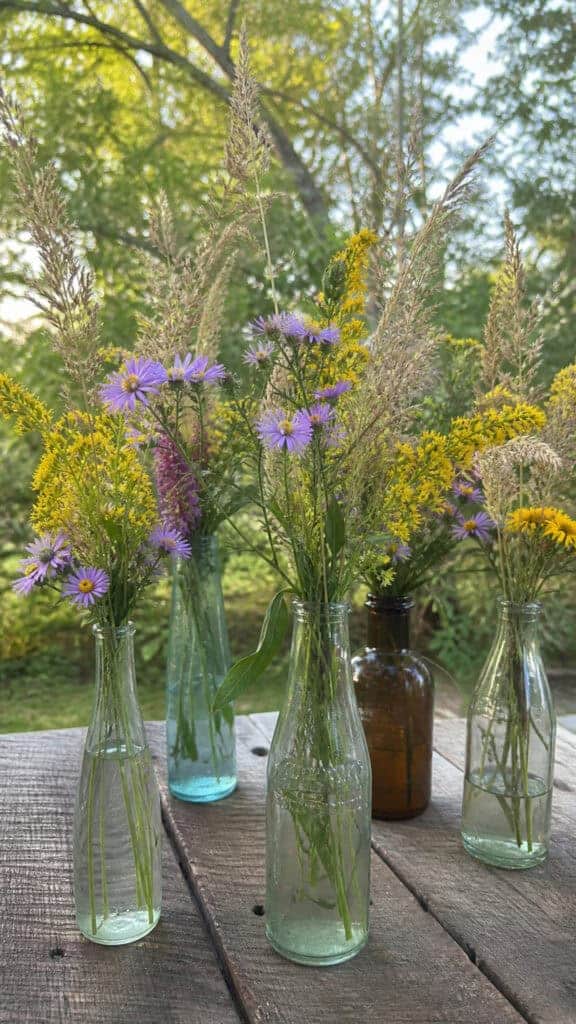 Wildflower Meadow Mix with Goldenrod