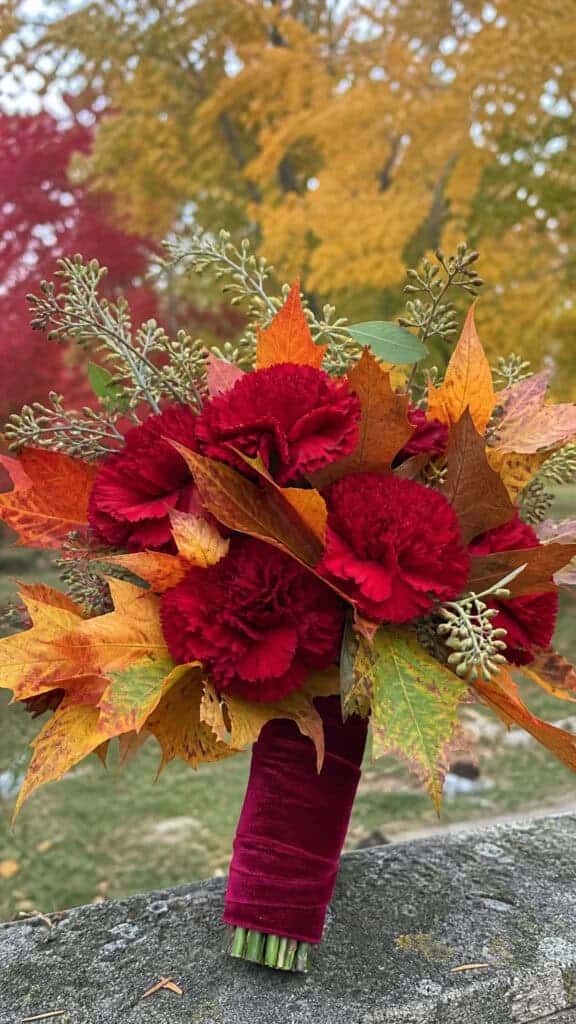 Deep Red Carnations With Fall Foliage