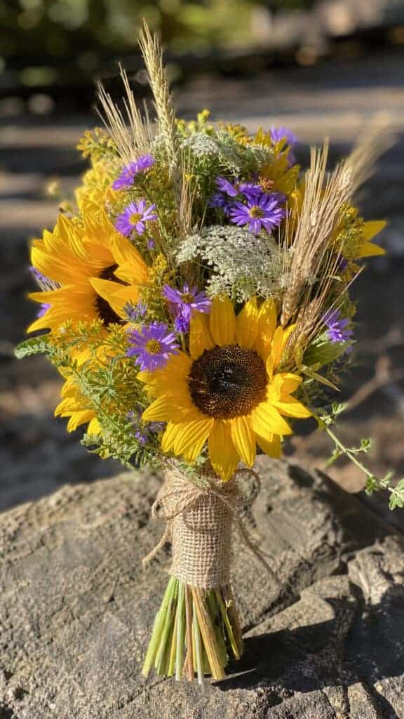 Sunflower And Wildflower Mix