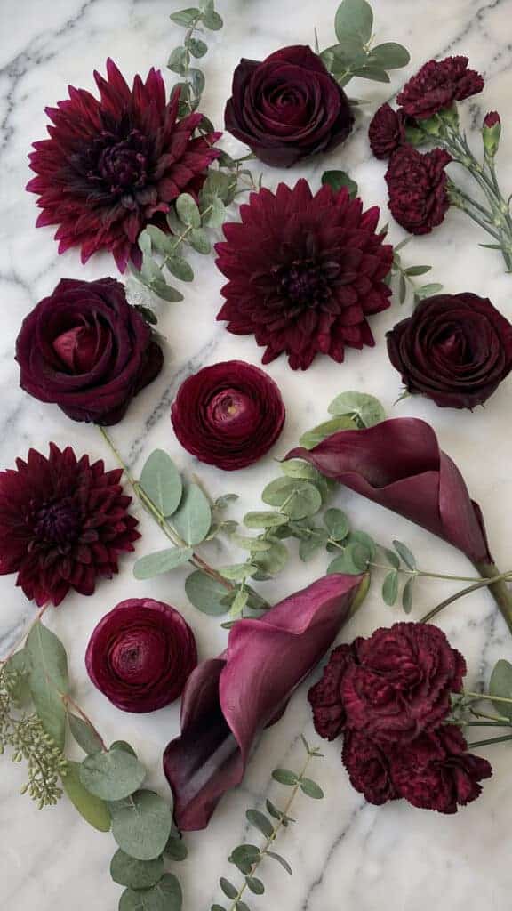 Seasonal Flower Varieties in Burgundy
