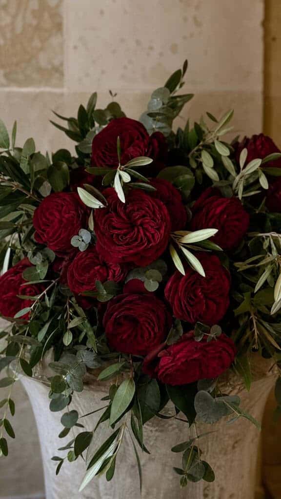 Deep Red Garden Roses