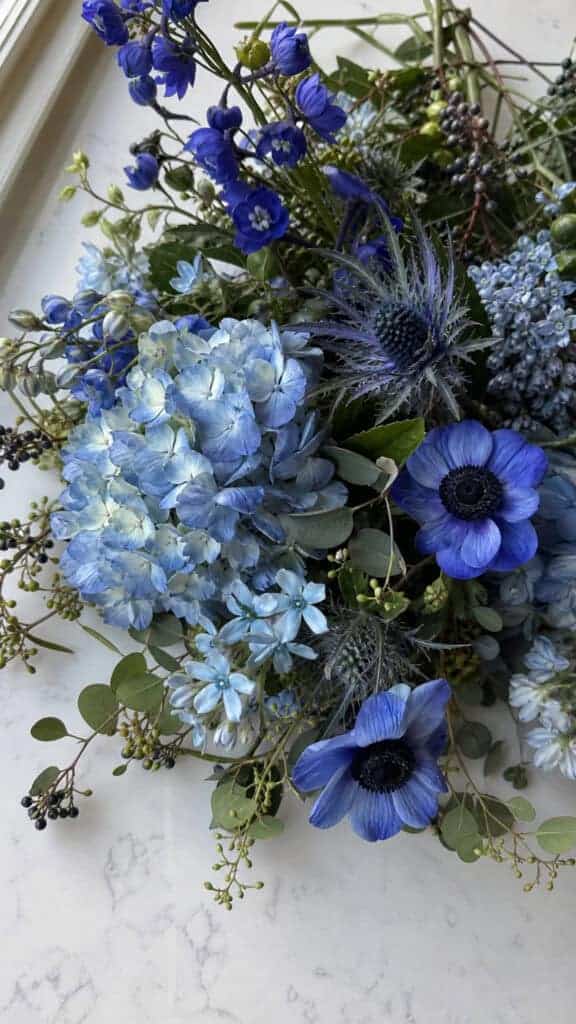 Best Blue Flowers Available During Fall Season