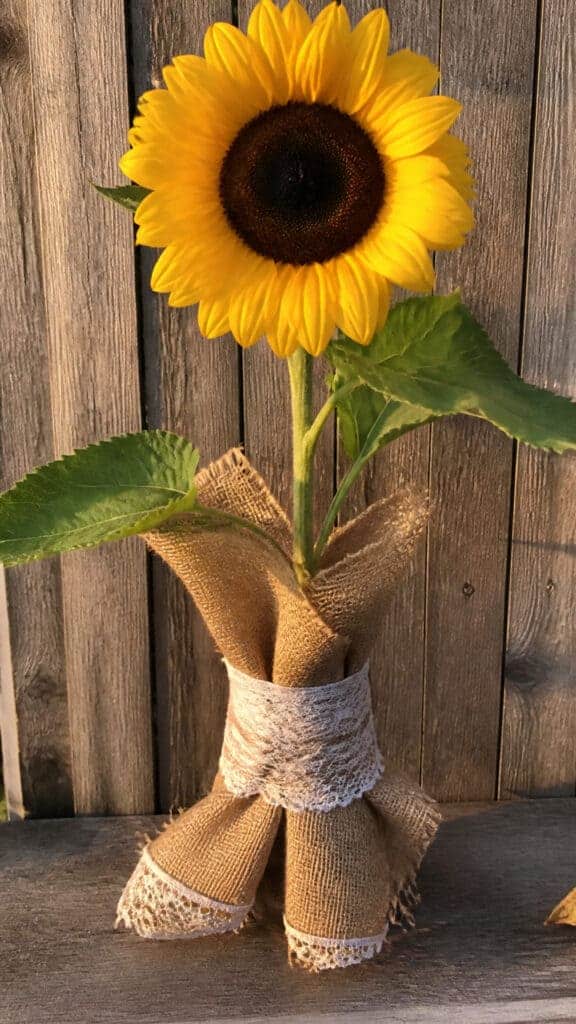 Cheerful Sunflower