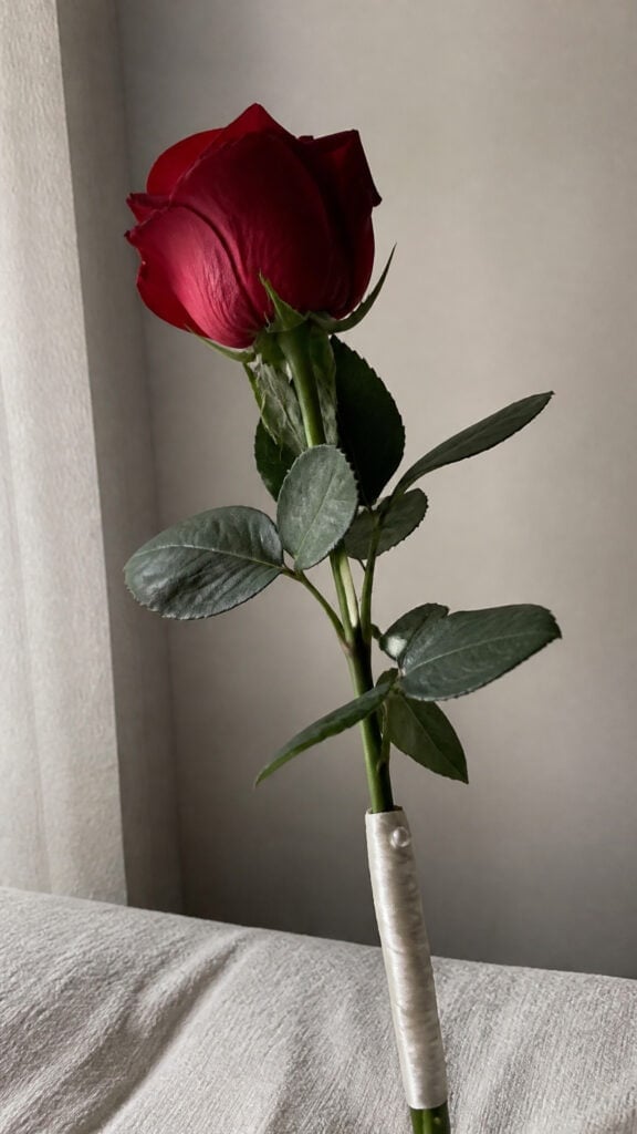 Classic Long-Stemmed Roses
