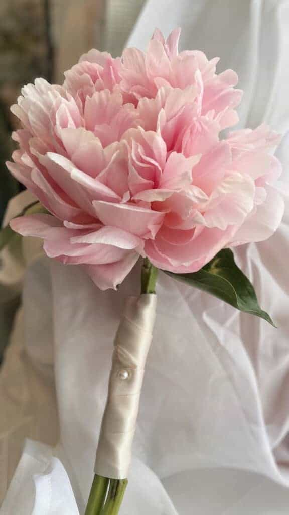 Romantic Peony