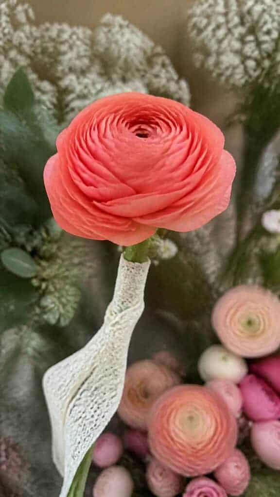 Whimsical Ranunculus