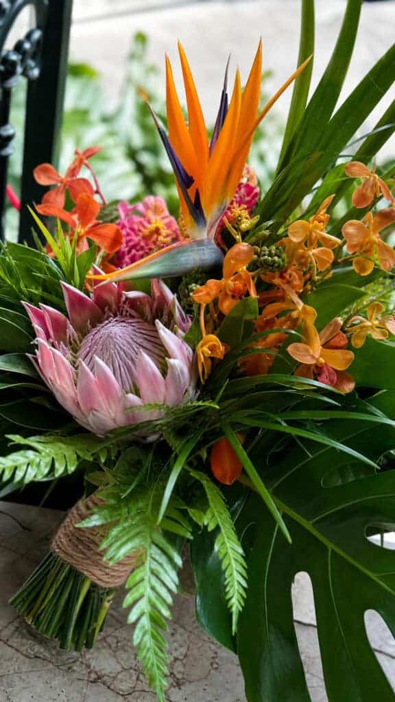 Bold Tropical and Exotic Blooms