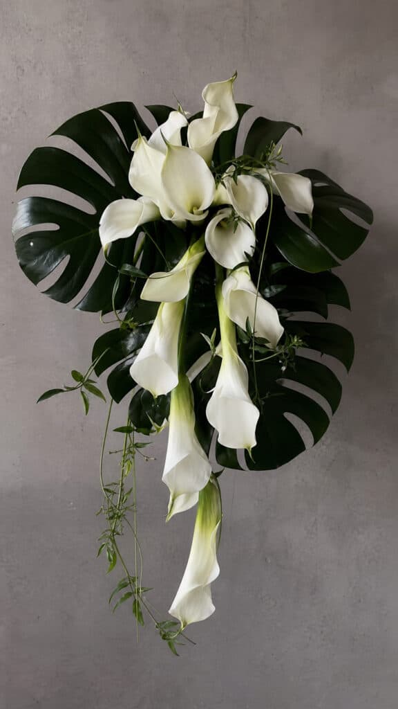 Calla Lilies with Monstera Leaves