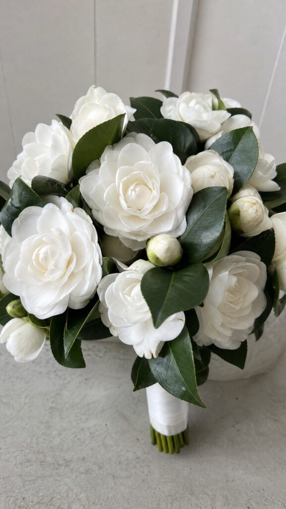 Camellias with Camellia Foliage