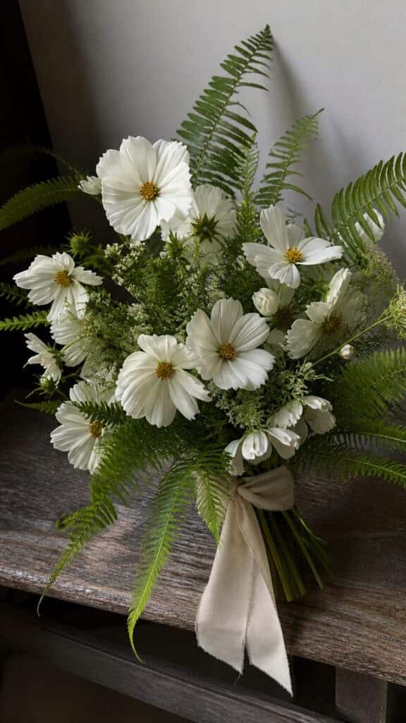 Cosmos with Sword Fern