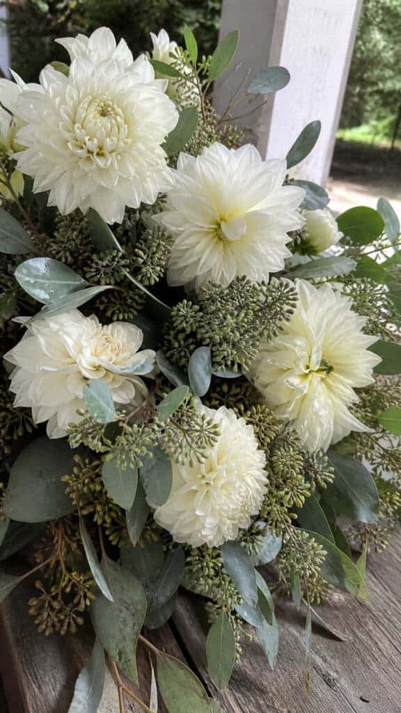 Dahlias with Seeded Eucalyptus