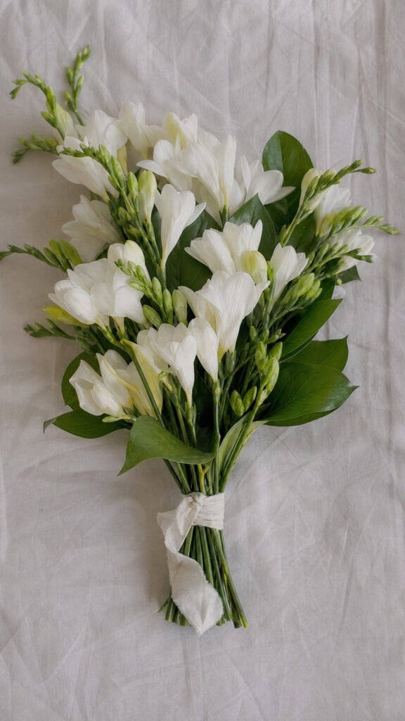 Freesias with Salal Leaves