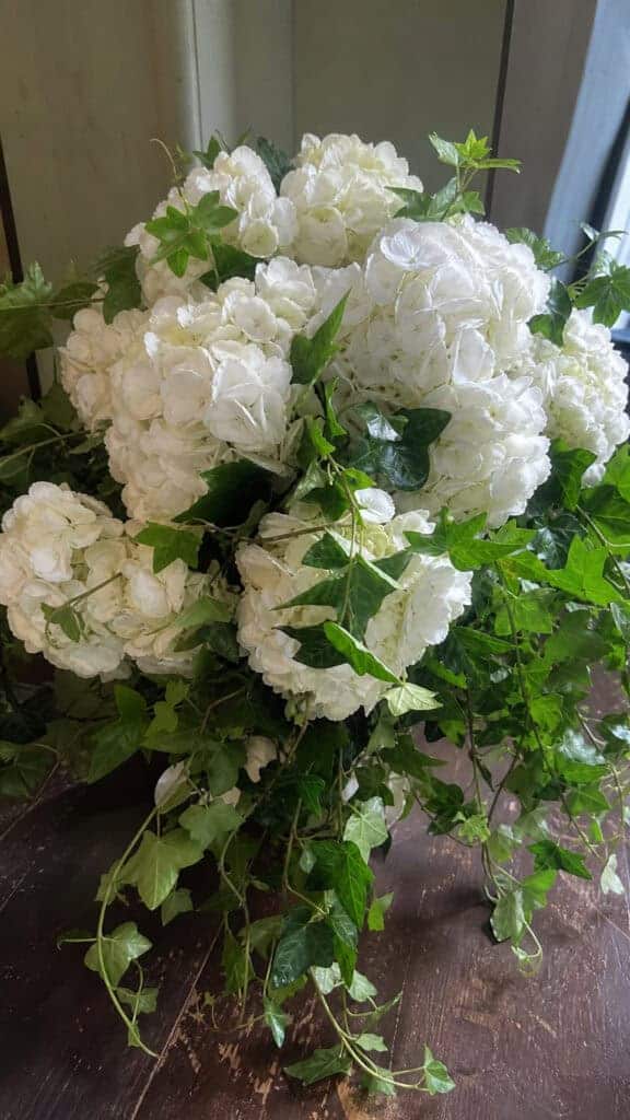 Hydrangeas Mixed with Ivy Vines