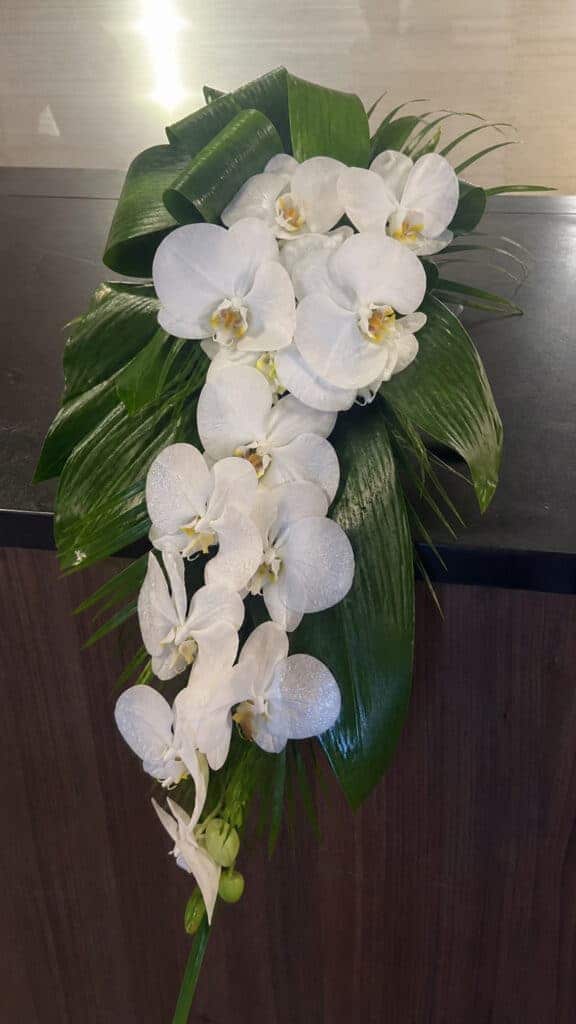 Orchids with Aspidistra Leaves