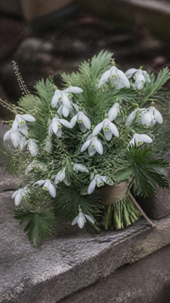 Snowdrops with Hellebore Foliage
