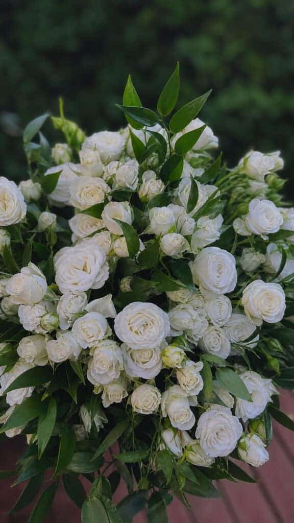 Spray Roses with Ruscus