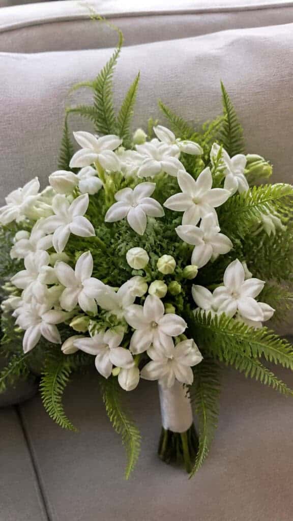 Stephanotis with Leather Leaf Fern
