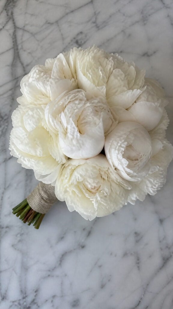 Textured White Peonies