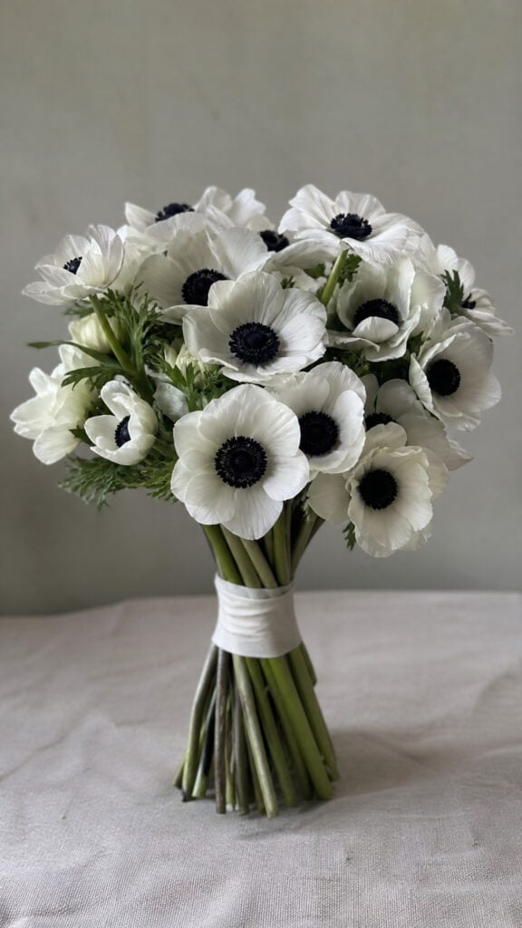 White Anemones With Dark Centers