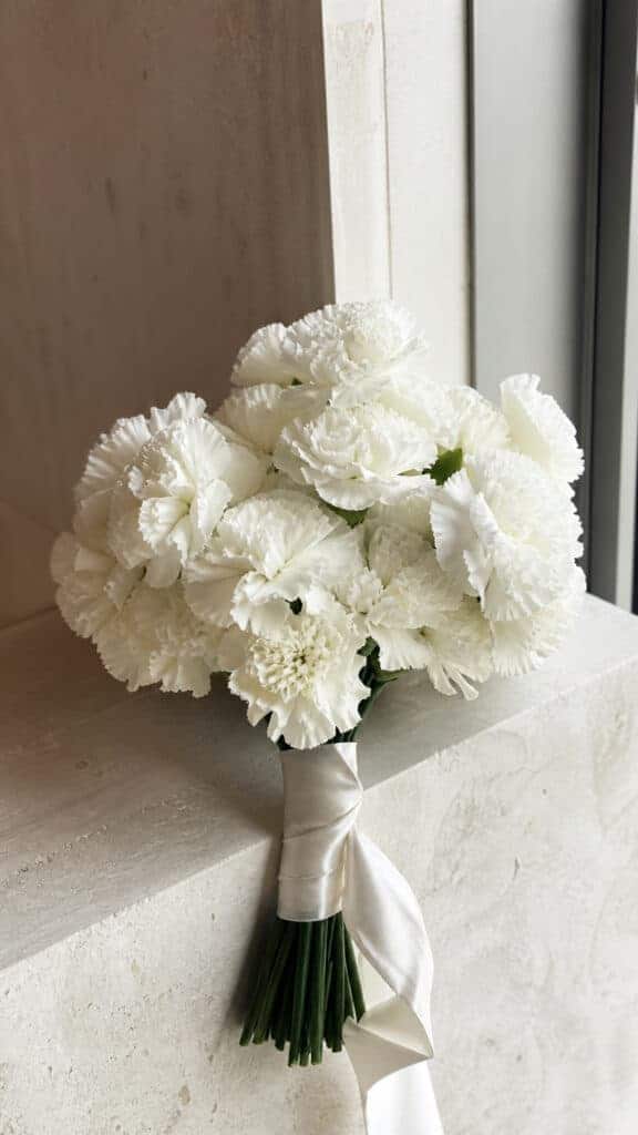 White Carnations Reimagined