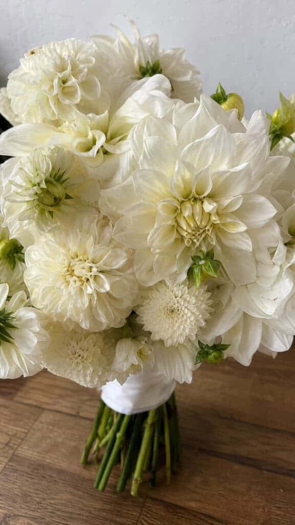 White Dahlias With Texture