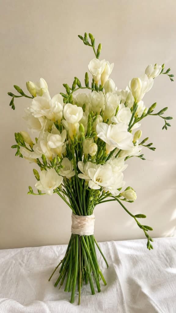 White Freesia Simplicity
