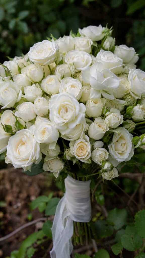 White Spray Roses Cluster