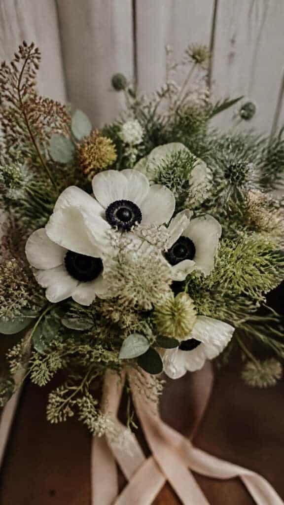 Anemone Artistic Flair