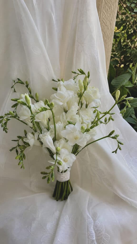 Freesia Fragrant Elegance