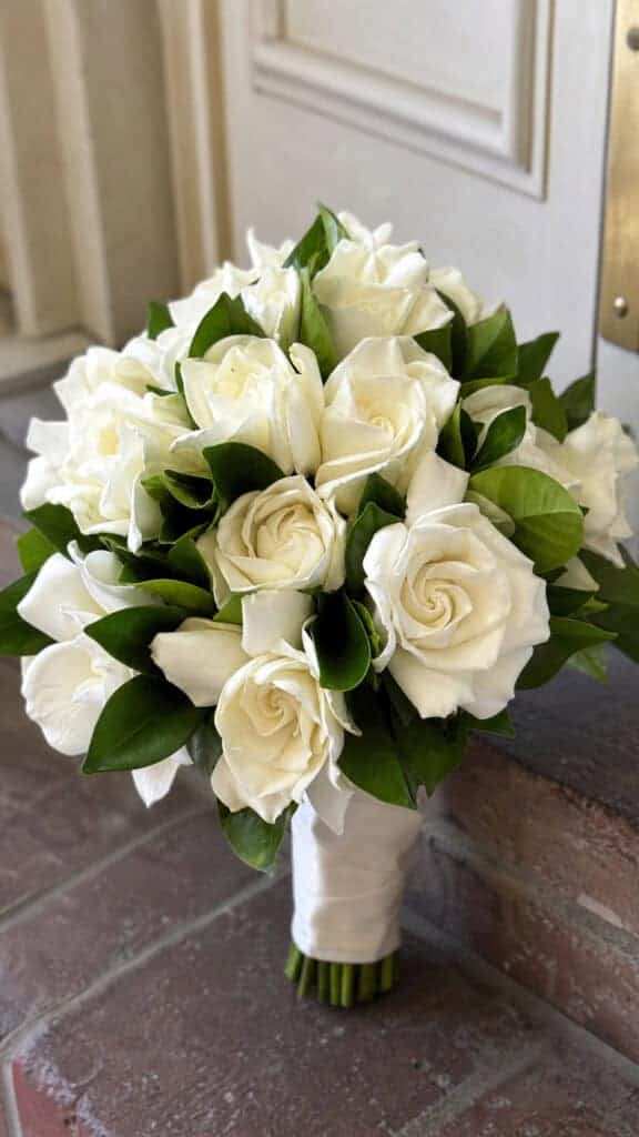 Gardenia Fragrant Sophistication