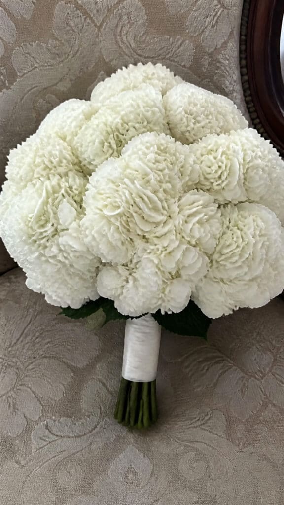 Hydrangea Abundance