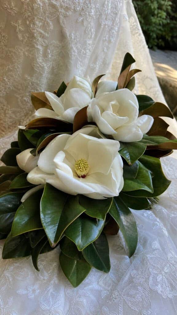 Magnolia Southern Charm