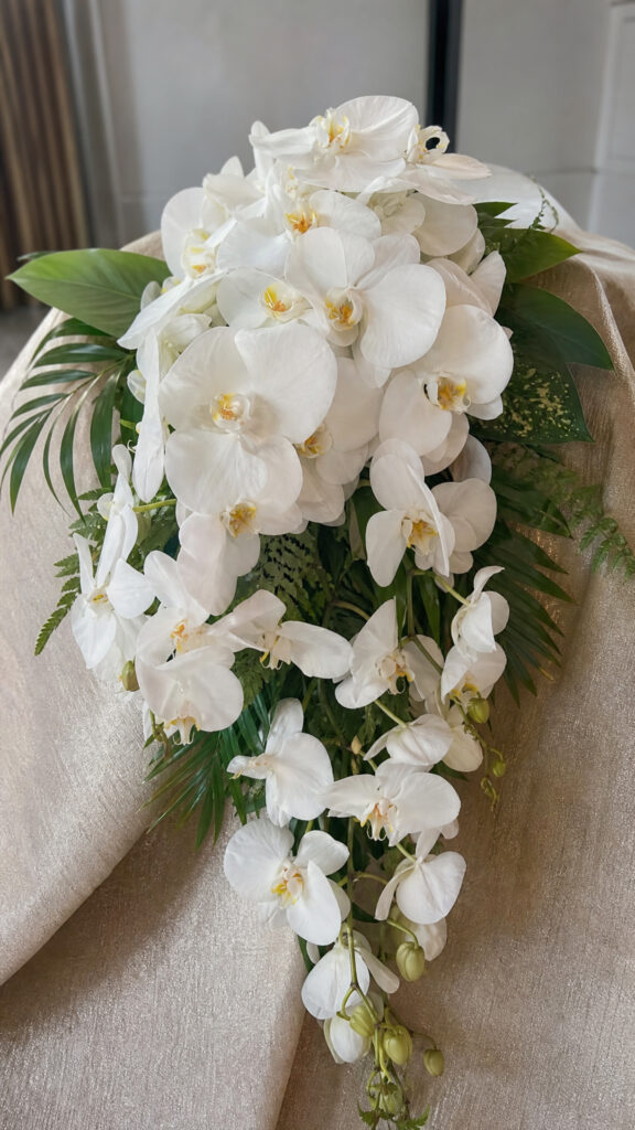 Orchid Sophistication Statement