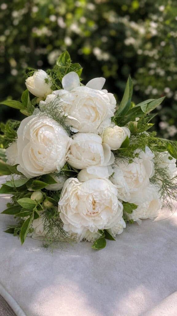 Peony Paradise Perfection