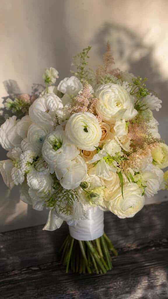 Ranunculus Ruffled Romance
