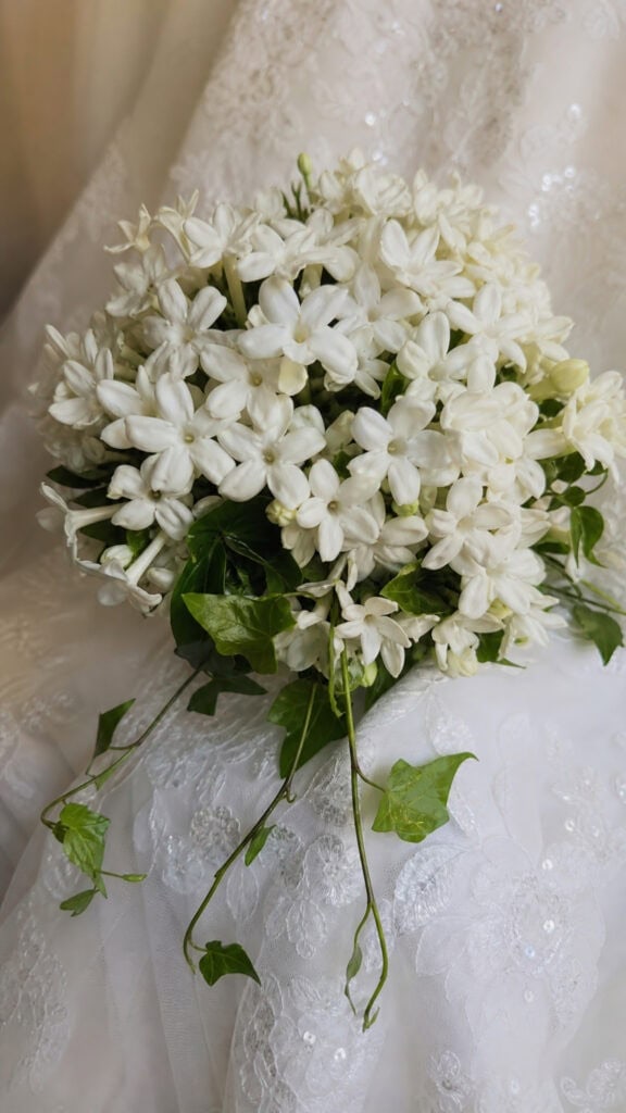 Stephanotis Vintage Glamour