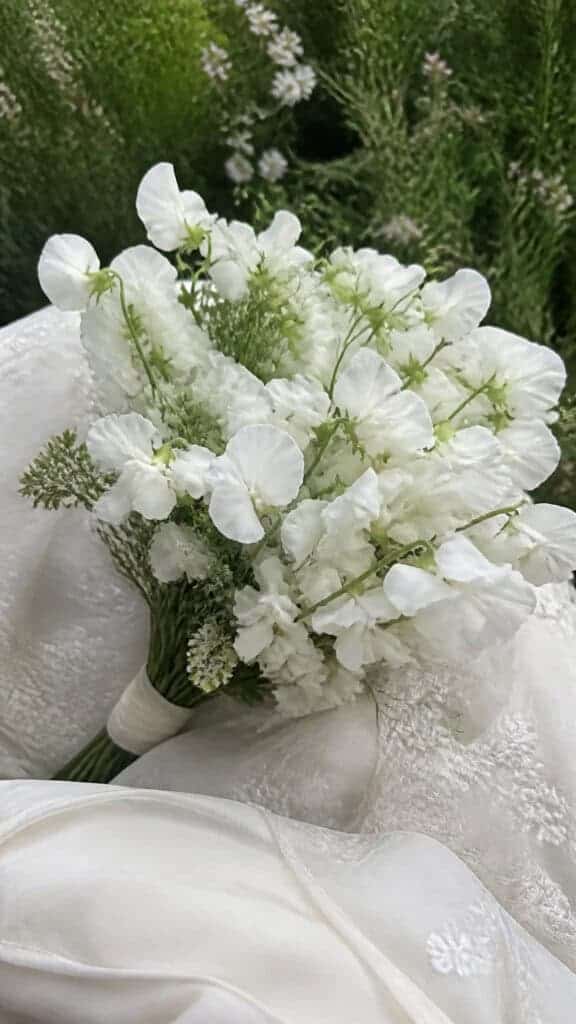 Sweet Pea Cottage Garden Charm
