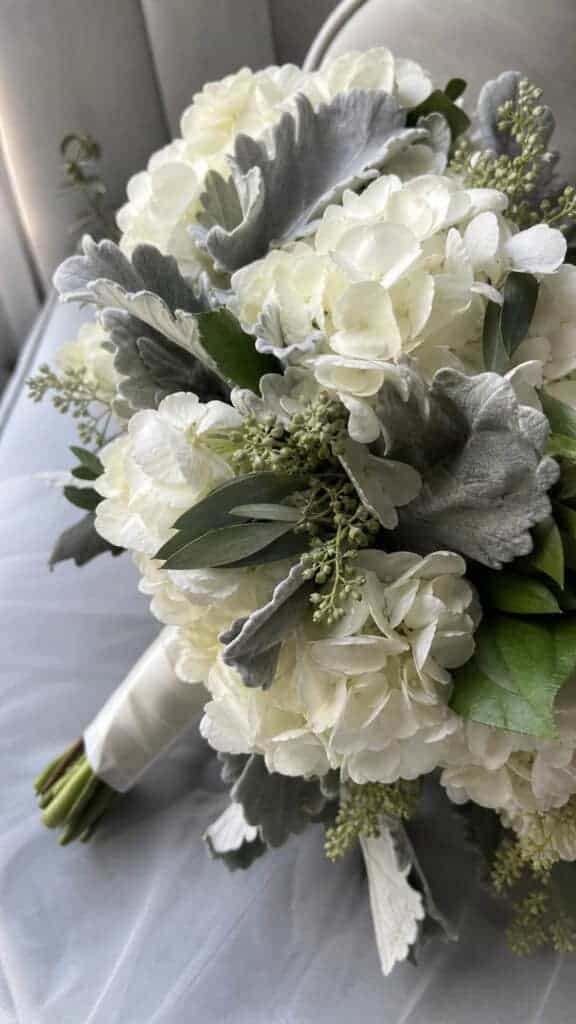 Hydrangea with Dusty Miller Texture