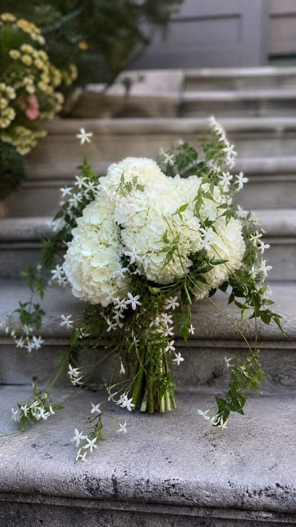 Hydrangea with Wispy Jasmine Vine