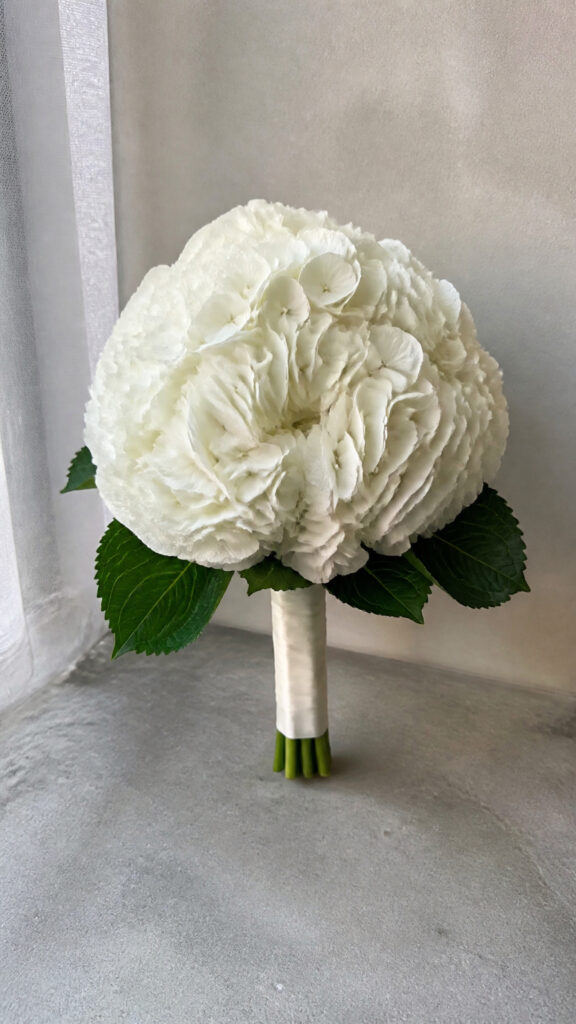 Minimalist Single Hydrangea Stem