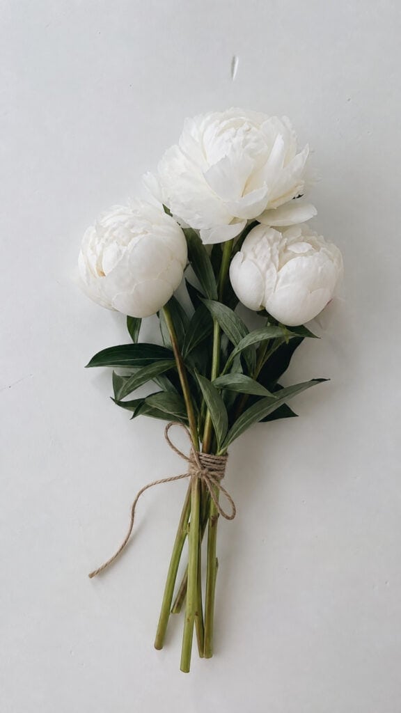 Minimalist White Peony Bundle