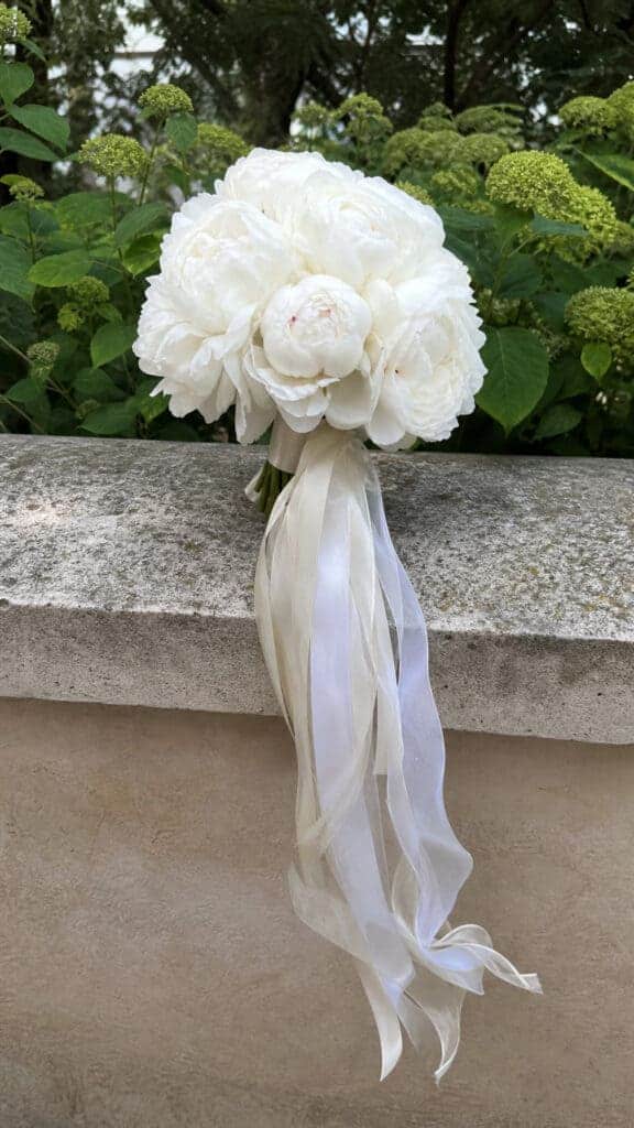 White Peonies with Trailing Ribbons